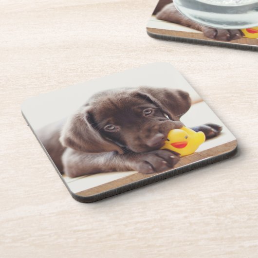 Chocolade Labrador Puppy met Speelgoed Duck Bier Onderzetter (Linkerzijde)