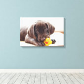 Chocolade Labrador Puppy met Speelgoed Duck Canvas Afdruk (Insitu (Houten vloer))