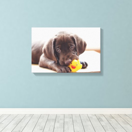 Chocolade Labrador Puppy met Speelgoed Duck Canvas Afdruk (Insitu (Houten vloer))