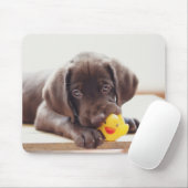Chocolade Labrador Puppy met Speelgoed Duck Muismat (Met muis)