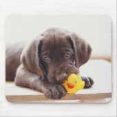 Chocolade Labrador Puppy met Speelgoed Duck Muismat (Voorkant)