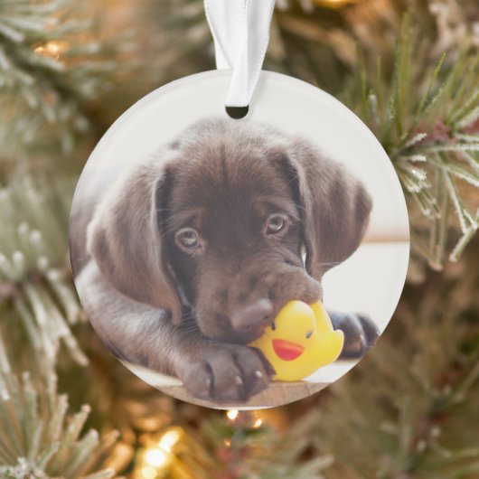 Chocolade Labrador Puppy met Speelgoed Duck Ornament (Boom)