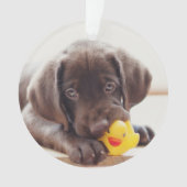 Chocolade Labrador Puppy met Speelgoed Duck Ornament (voorkant)