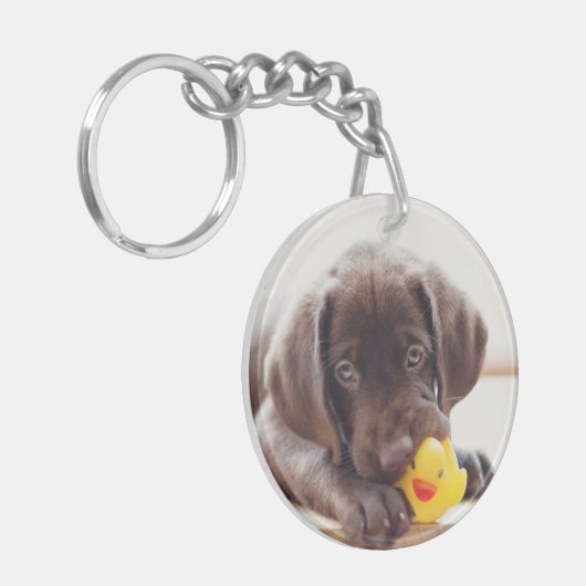 Chocolade Labrador Puppy met Speelgoed Duck Sleutelhanger (Voorkant Links)