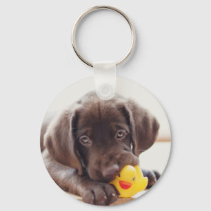 Chocolade Labrador Puppy met Speelgoed Duck Sleutelhanger