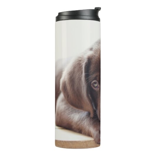 Chocolade Labrador Puppy met Speelgoed Duck Thermosbeker (Gedraaid links)