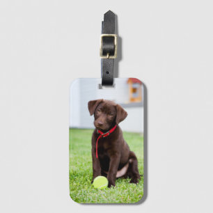 chocolade labrador puppy met tennisbal bagagelabel