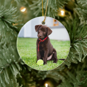 chocolade labrador puppy met tennisbal keramisch ornament