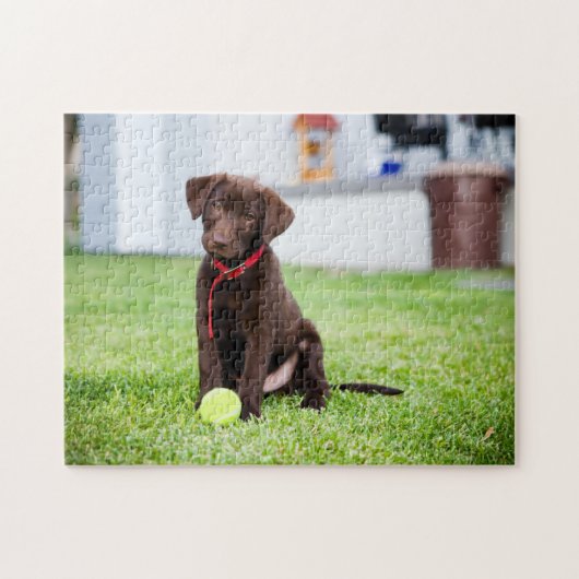 chocolade labrador puppy met tennisbal legpuzzel (Horizontaal)