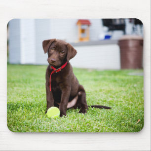 chocolade labrador puppy met tennisbal muismat