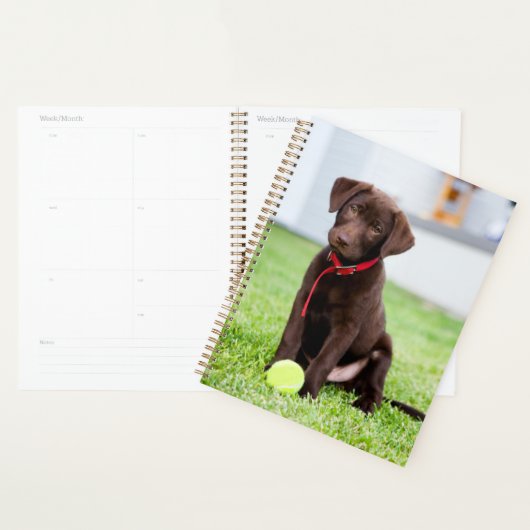 chocolade labrador puppy met tennisbal planner (Display)