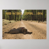 Chocolade Labrador-puppy op Forest Trail Custom Poster (Voorkant)