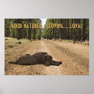Chocolade Labrador-puppy op Forest Trail Custom Poster