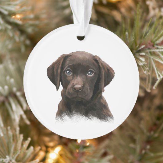 Chocolade Labrador Puppy Ornament (Boom)