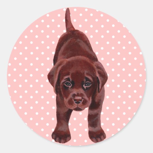 Chocolade Labrador Puppy Ronde Sticker (Voorkant)