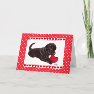Chocolade Labrador Puppy Valentijnsdag kaart