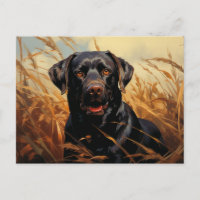 Chocolade Labrador Retriever