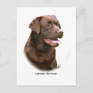 Chocolade Labrador Retriever Briefkaart
