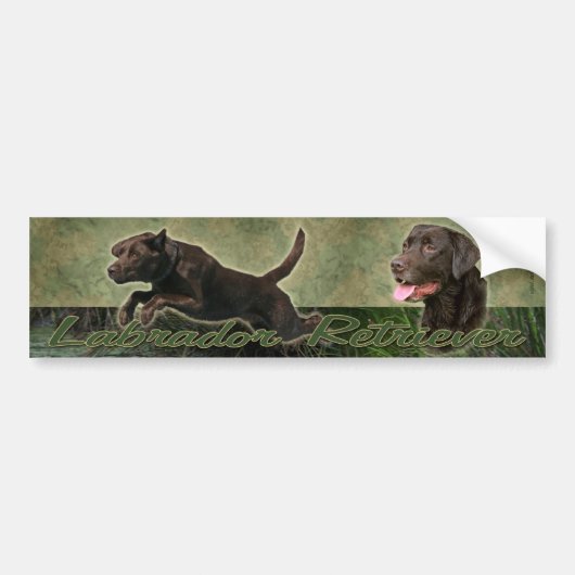 Chocolade Labrador Retriever collage bumper sticke Bumpersticker (Voorkant)
