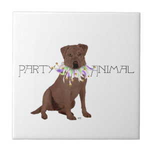 Chocolade Labrador Retriever Feestje Tegeltje