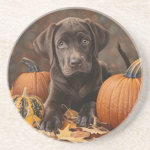 Chocolade Labrador Retriever Herfst Ronde Onderzet Zandsteen Onderzetter