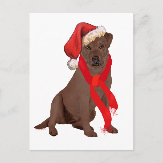 Chocolade Labrador Retriever Kerstmis Feestdagenkaart (Voorkant)