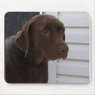 Chocolade Labrador Retriever Muismat