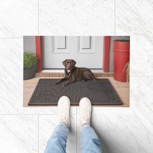 Chocolade Labrador Retriever op deurmat (Binnen)