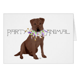 Chocolade Labrador Retriever Party