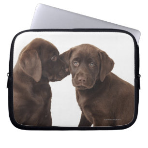 Chocolade Labrador Retriever Puppies Laptop Sleeve