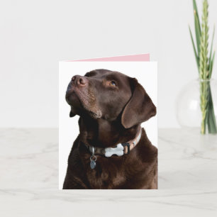 Chocolade Labrador Retriever Puppy Dog Note Card Kaart