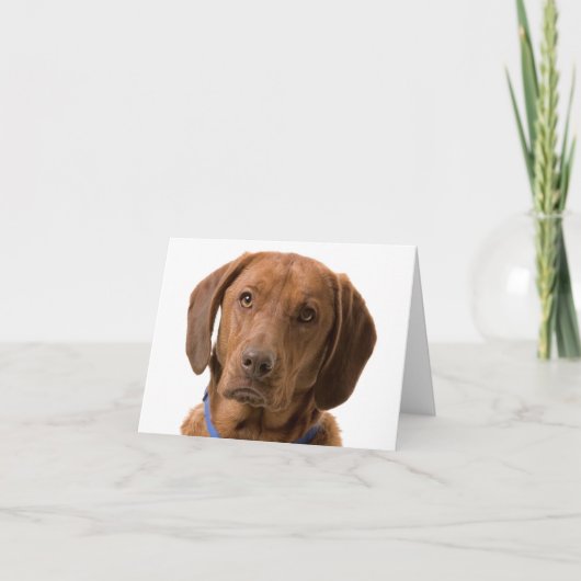 Chocolade Labrador Retriever Puppy Dog Note Kaart (Voorkant)