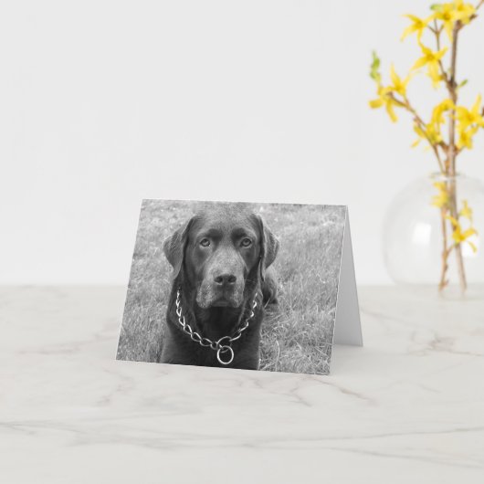 Chocolade Labrador Retriever Puppy Dog Note Kaart (Gele Bloem)