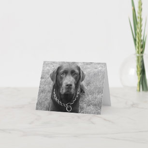 Chocolade Labrador Retriever Puppy Dog Note Kaart