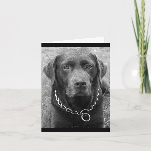 Chocolade Labrador Retriever Puppy Dog Note Kaart (Voorkant)