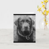 Chocolade Labrador Retriever Puppy Dog Note Kaart (Gele Bloem)
