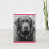 Chocolade Labrador Retriever Puppy Dog Note Kaart (Voorkant)