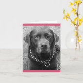 Chocolade Labrador Retriever Puppy Dog Note Kaart (Gele Bloem)
