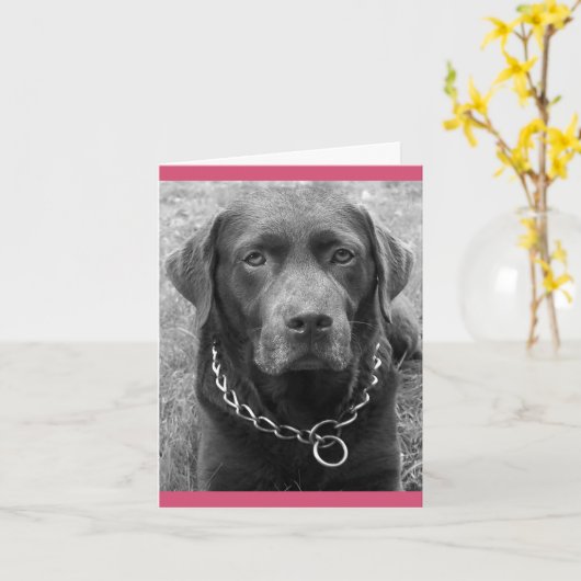 Chocolade Labrador Retriever Puppy Dog Note Kaart (Gele Bloem)