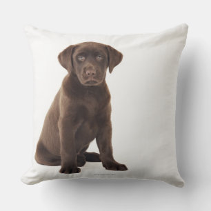 Chocolade Labrador Retriever Puppy Kussen