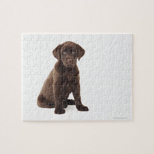 Chocolade Labrador Retriever Puppy Legpuzzel (Horizontaal)