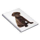 Chocolade Labrador Retriever Puppy Notitieboek (Rechterzijde)
