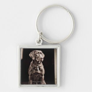 Chocolade Labrador Retriever Sleutelhanger