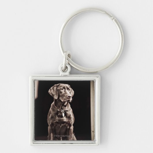 Chocolade Labrador Retriever Sleutelhanger (Voorkant)