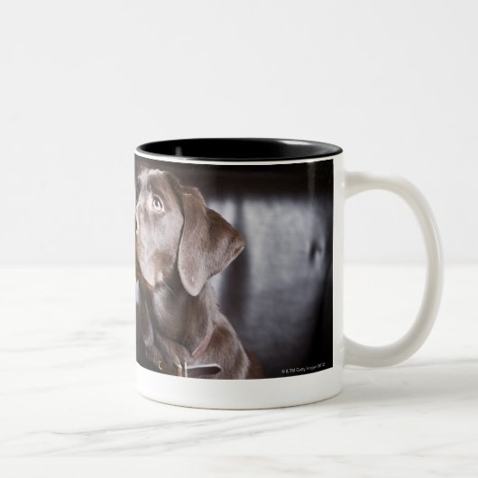 Chocolade Labrador Retriever Tweekleurige Koffiemok (Rechts)