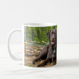 Chocolade Labrador van het Laboratorium van het Koffiemok