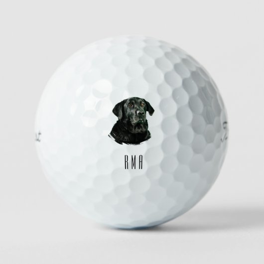 Chocolade Labrador Zwarte Lab Golfballen (Voorkant)