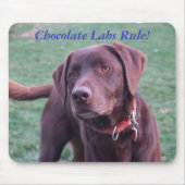 Chocolade Labs Rule! Muismat (Voorkant)