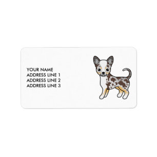 Chocolade Merle Gladharige Chihuahua Mooie Hond Etiket