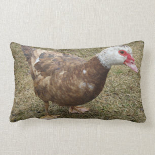 Chocolade Muscovy Duck Sierkussen Kussen